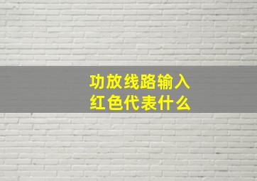 功放线路输入 红色代表什么